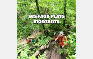 voyage2025 Vuillafans