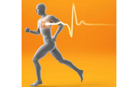 Entraînements semi-marathon